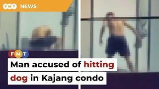 Veterinary dept probing case of man hitting dog at Kajang condo