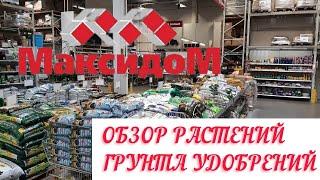 МАКСИДОМ ОБЗОР РАСТЕНИЙ ГРУНТОВ ПРЕПАРАТОВ ДЛЯ РАСТЕНИЙ