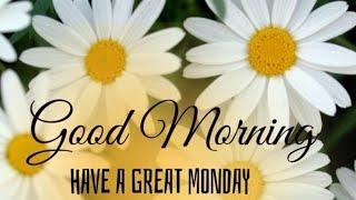 Monday good morning photos !! Best good morning flowers images