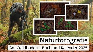 Naturfotografie: Was sich so am BODEN im HERBSTWALD findet | Kalender 2025 und Buch