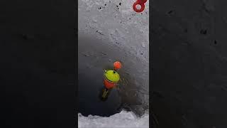 Завораживающий поплавок #рыбалка #зимняярыбалка #поплавок