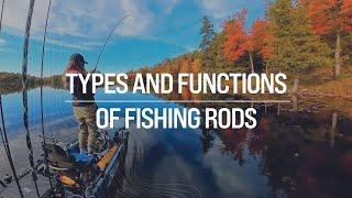 Ashley Rae | Types and functions of fishing rods