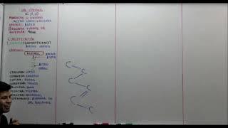 Semana 3 CEPRE- UNSCH Bioquímica II (Lipidos, proteínas y ácidos nucleicos)