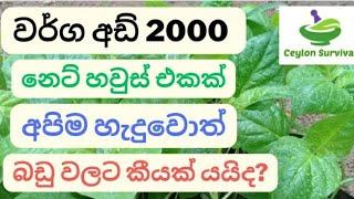 ව.අඩි 2000 නෙට් හවුස් එකක් අපිම හැදුවොත් මේ දවස් වල වියදම|2000 square feet net house|Ceylon Survival