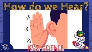 Our Ears and How We Hear | KS2 Science | STEM and Beyond