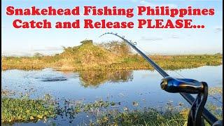 Snakehead Fishing Philippines, Shimano Exsence DC SS, DV Bigbird, DV Lures