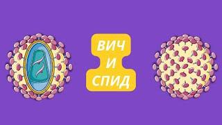 Все про ВИЧ и СПИД, виды, стадии сопутствующие заболевания. Как происходит заражение? Лечение.