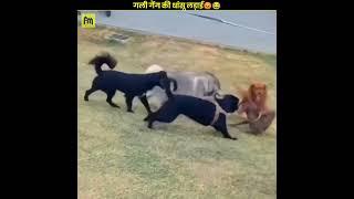 गली गैंग की धांसू लड़ाई|| #shorts #factoming