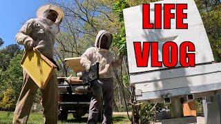 Interesting Day: Honeybees, Garden & Eclipse #vlog