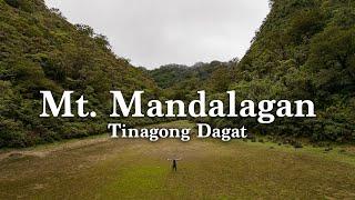 Hiking MT.  MANDALAGAN - TINAGONG DAGAT | Negros Occidental Philippines | Silent Hiking Video | 4K