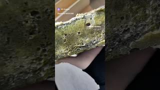 Натуральное мыло "с нуля" / Мыло ручной работы из масел / Горячий способ