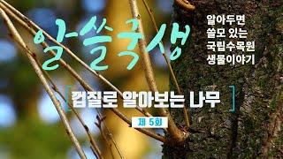 [알쓸국생] "껍질로 알아보는 나무"