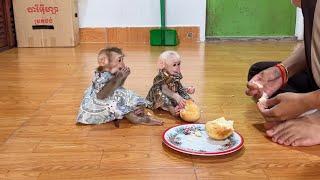 WOW Mom Slow Teaching Both Sweety Yuri &  MInea How To Eat Bread