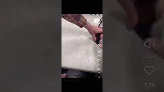 сила клешни омара