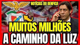  EXCELENTE NOTICIA NA LUZ! RUI COSTA ESFREGA AS MÃOS! BENFICA ENCHE OS COFRES! NOTICIAS DO BENFICA