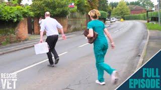 Vets rush to find cat that's been hit by a car | Rescue Vet with Dr Scott Miller