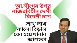 আ.লীগের উপর নজিরবিহীন দেশী বিদেশী চাপ ! লাখ লাখ কালো বিড়াল বের হয়ে যাবার আশংকা !