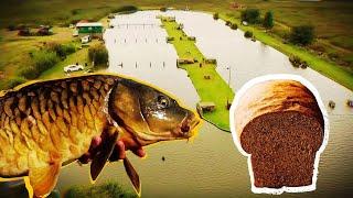 Fun Fishing Alberton - Perfect Family Venue - How to get MORE CATCHES with BREAD