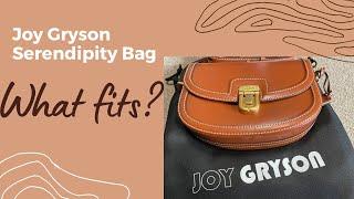 Joy Gryson Serendipity Bag (Medium): What fits?