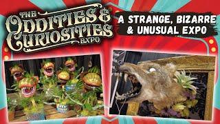 ODDITIES & CURIOSITIES EXPO | SAN DIEGO 2023 - A Strange, Bizarre & Unusual Expo