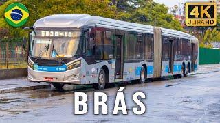 Sao Paulo, Brazil - Buses at Brás Bus Station