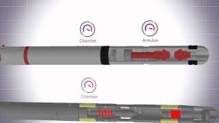 Gas Lift IPO (Injection Pressure Operated) PTC