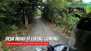 Kampung Halaman di Lereng Gunung Purwakarta Desa Pamoyanan