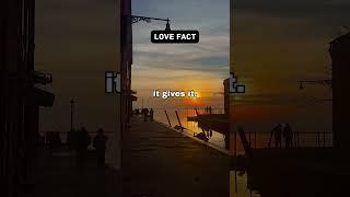 Nobody Talks About This - No.8 #FactVerse #DailyFacts