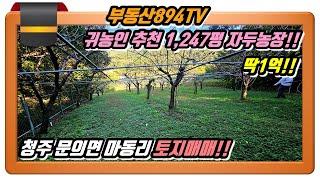 [청주토지매매]귀농인 추천 1,120평 자두농장!! 딱 1억!! 청주시 상당구 문의면 마동리 토지매매!!,#청주토지매매,#문의면마동리토지매매,#문의면토지매매