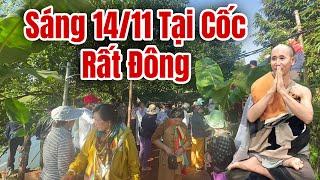 Sáng ngày 14 tháng 11, Tại Cốc Thầy Minh Tuệ rất nhiều phật tử Đến Đảnh Lễ