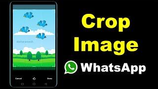 How to Crop Image In WhatsApp