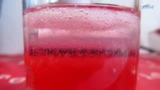 Process of extracting DNA from plants