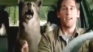 Wild Animal Jeep Liberty TV Commercial HD