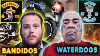 The War Is On Between the Bandidos and the Water Dogs