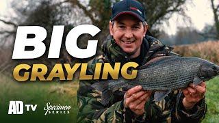 Catching A MASSIVE Test Grayling! Specimen Series - Grayling Fishing
