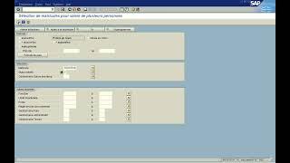 SAP time sheet: Transaction CAT2