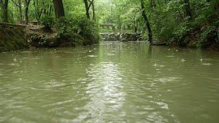 rain drop sounds on the pond in calm forest of moonkyeong korea