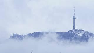Foggy Mountain Royalty Free Full HD Footage #VITOSHA MOUNTAIN #BULGARIA