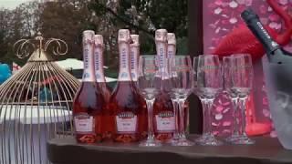 Marengo на «Kyiv Food and Wine Festival» Full HD