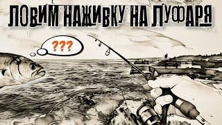 Ставрида на самодур с берега #fishing #рыбалка самодур на ставриду снасть на ставриду ловля ставриды