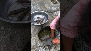 I Can't Believe She Found THIS in a Rock Pool! #Shorts #ytshorts #rockpool #youtubeshorts