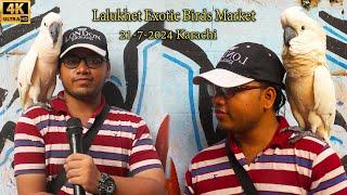 Lalukhet Exotic Hen and Rooster and Parrots Birds Market 21-7-2024 Karachi | Unique and Rare Birds