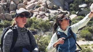 Wilderness Rock Climbing at Joshua Tree National Park