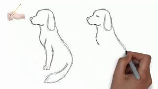 Как  нарисовать собаку простым карандашом