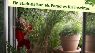 Ein Wildpflanzen-Balkon mitten in der Großstadt | MDR