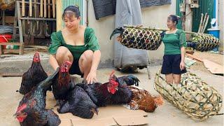 Harvesting Chicken (Rooster) Goes to market sell - Daily life of a girl living in the forest