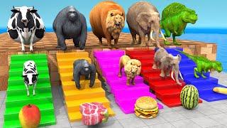 Cow Elephant Lion Gorilla T-Rex Choose the RIGHT Animal ESCAPE ROOM CHALLENGE Animal Cage Game