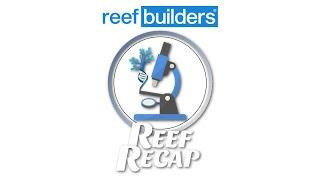 Live From ACI Aquaculture | Reef Recap w/Salem Clemens