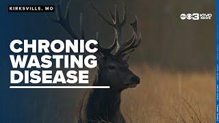 Chronic Wasting Disease: How targeted removal impacted case numbers