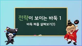 전략이 보이는 바둑 1-1